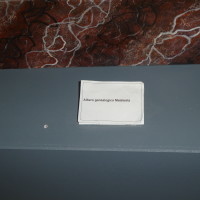 p1050158